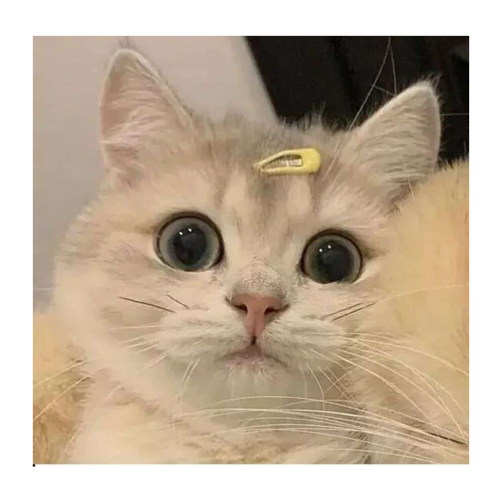 边边边白