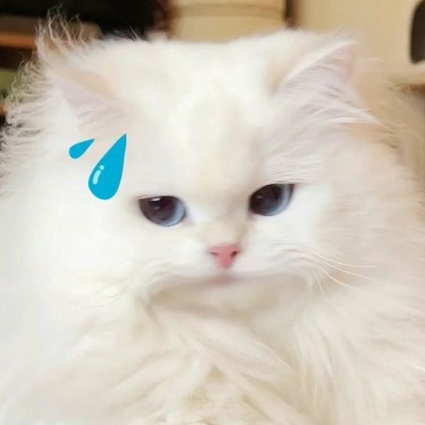 铁锅里有只大鹅