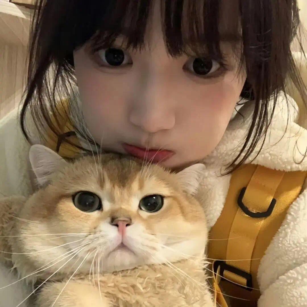 乐观的游戏迷