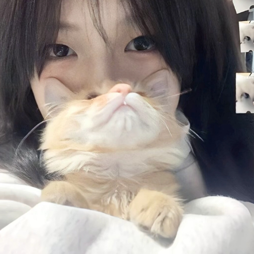 呼噜小绾