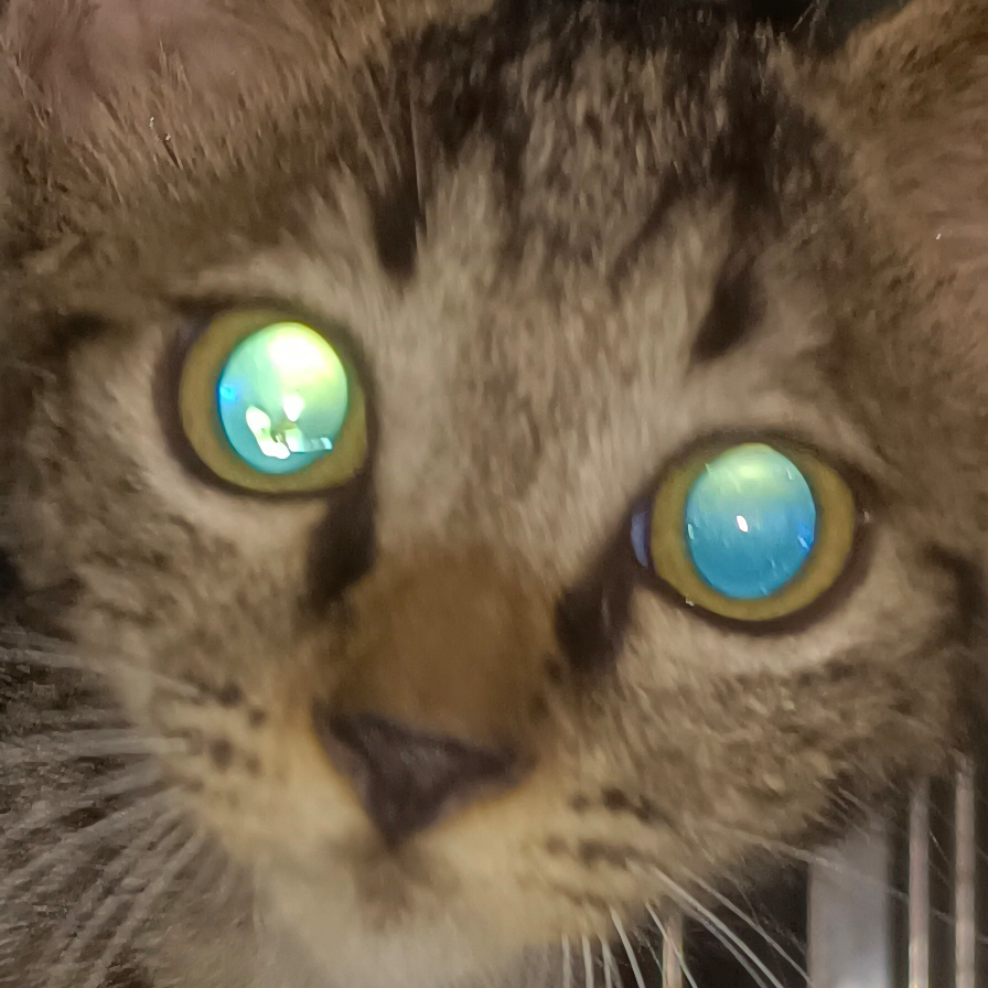 鋒……