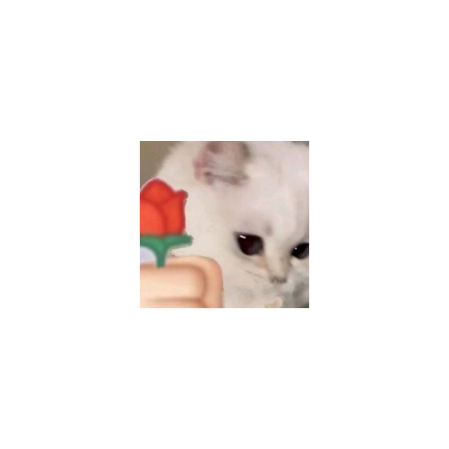 二两肉