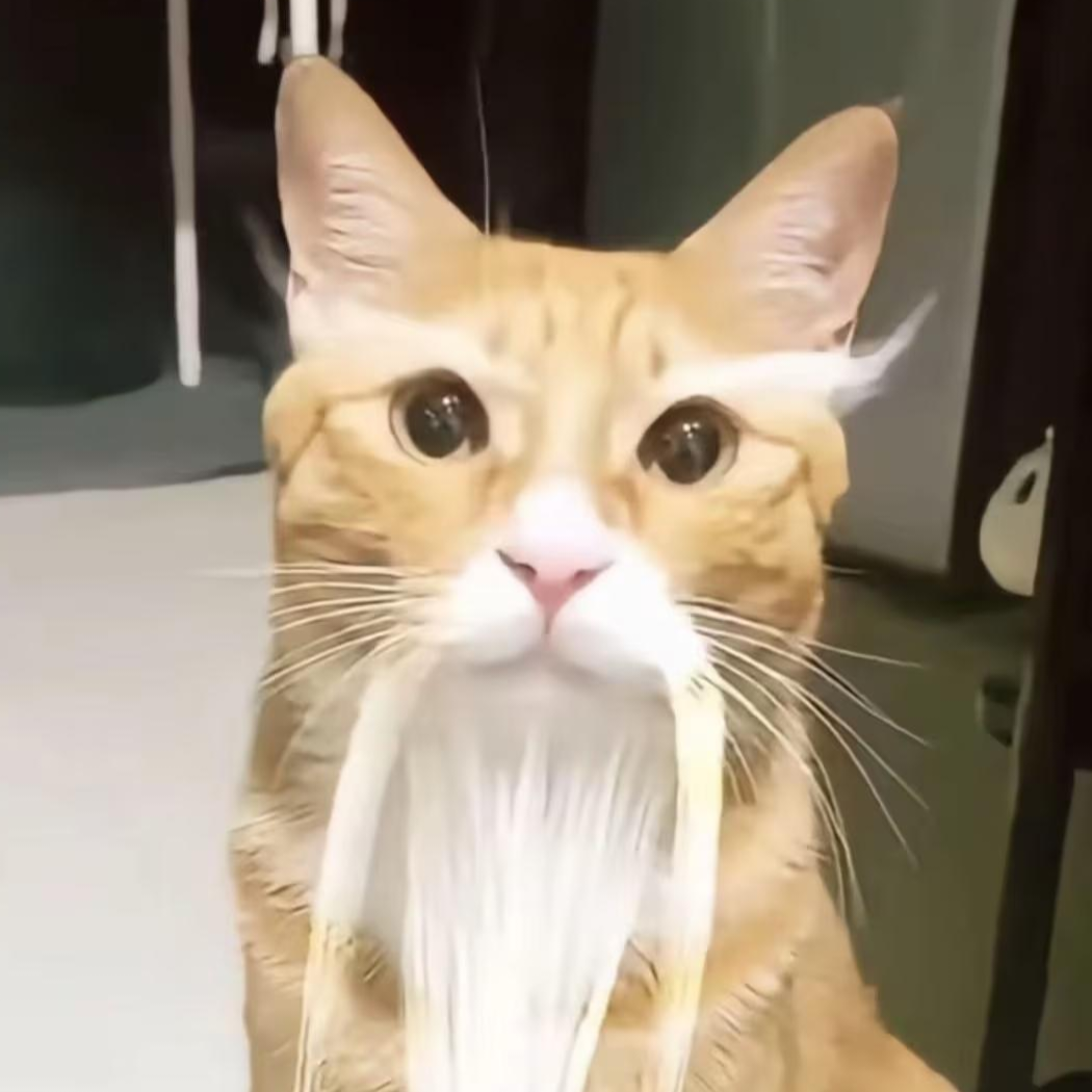哈基糕