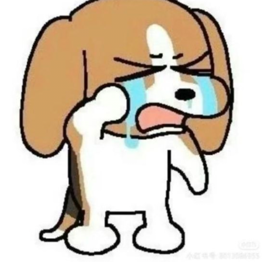 张张张大炮