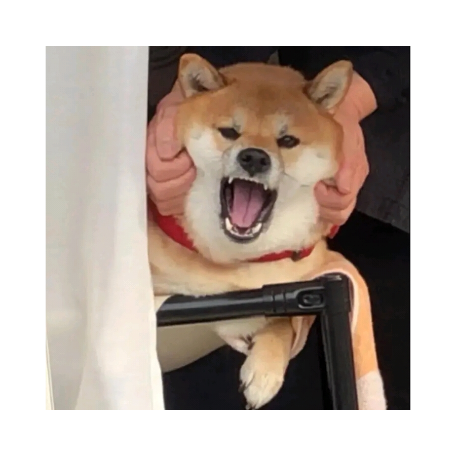 明妃