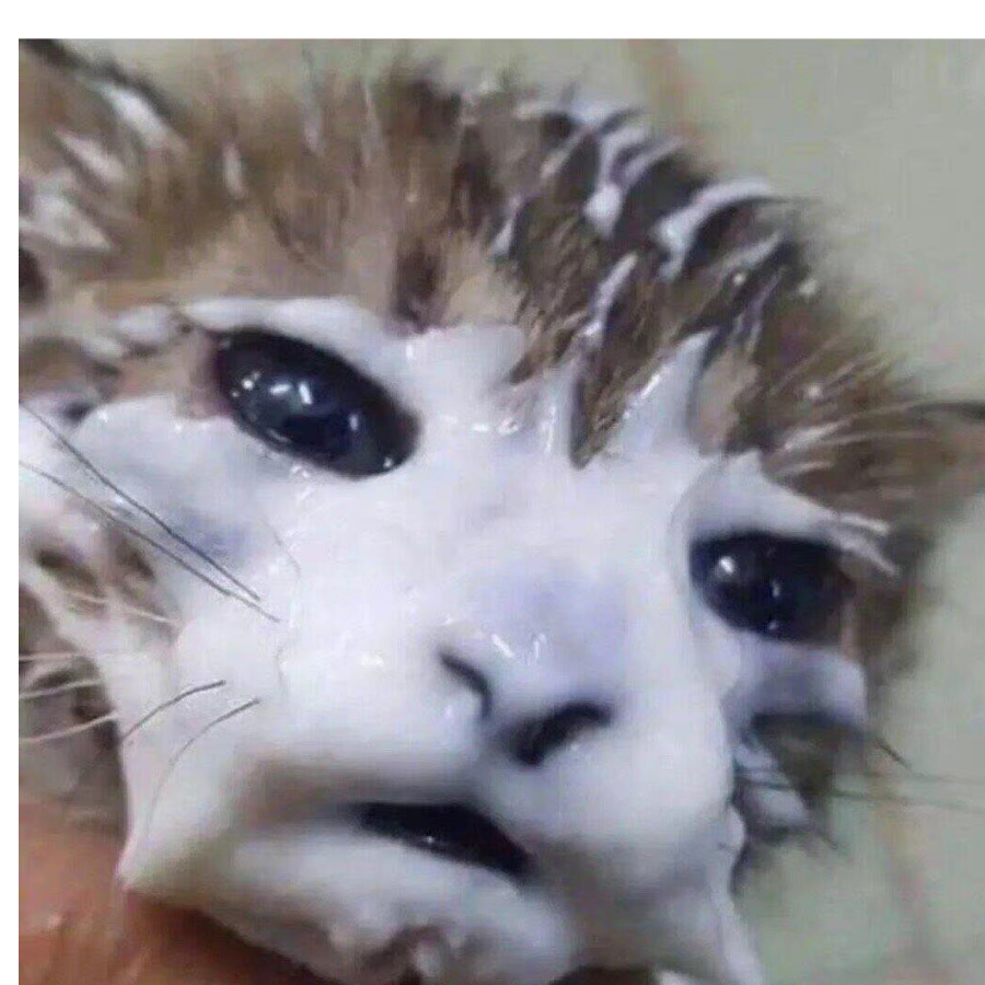 心零