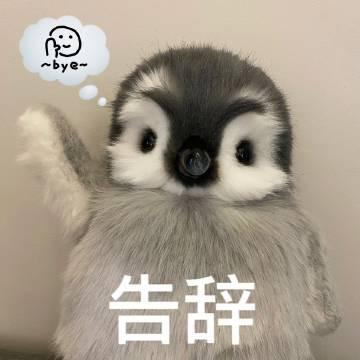 伊生今晚不吃饭