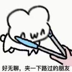 海狮晚上吃什么