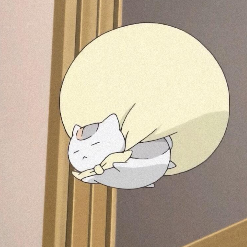 Y.沣