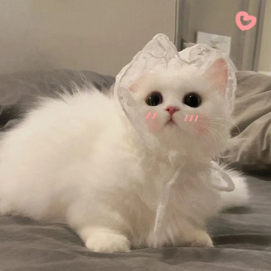 不喜欢吃姜