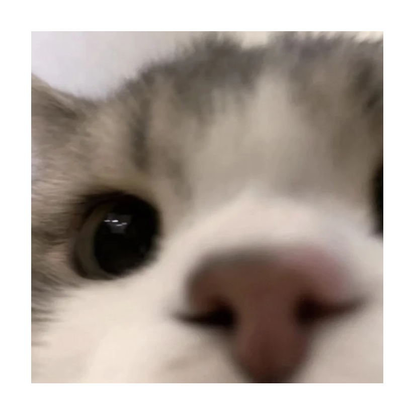 pobpobpob