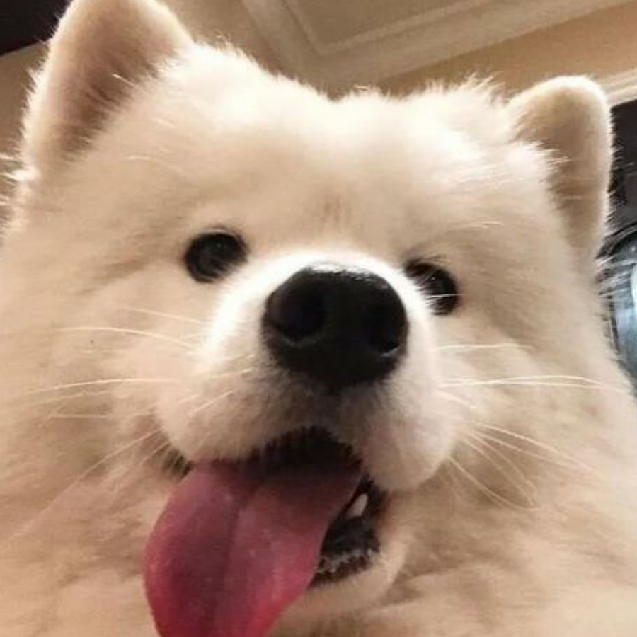 苍澜