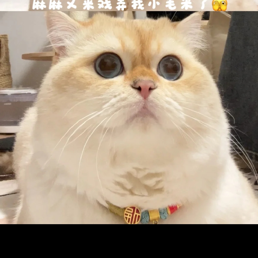够钟