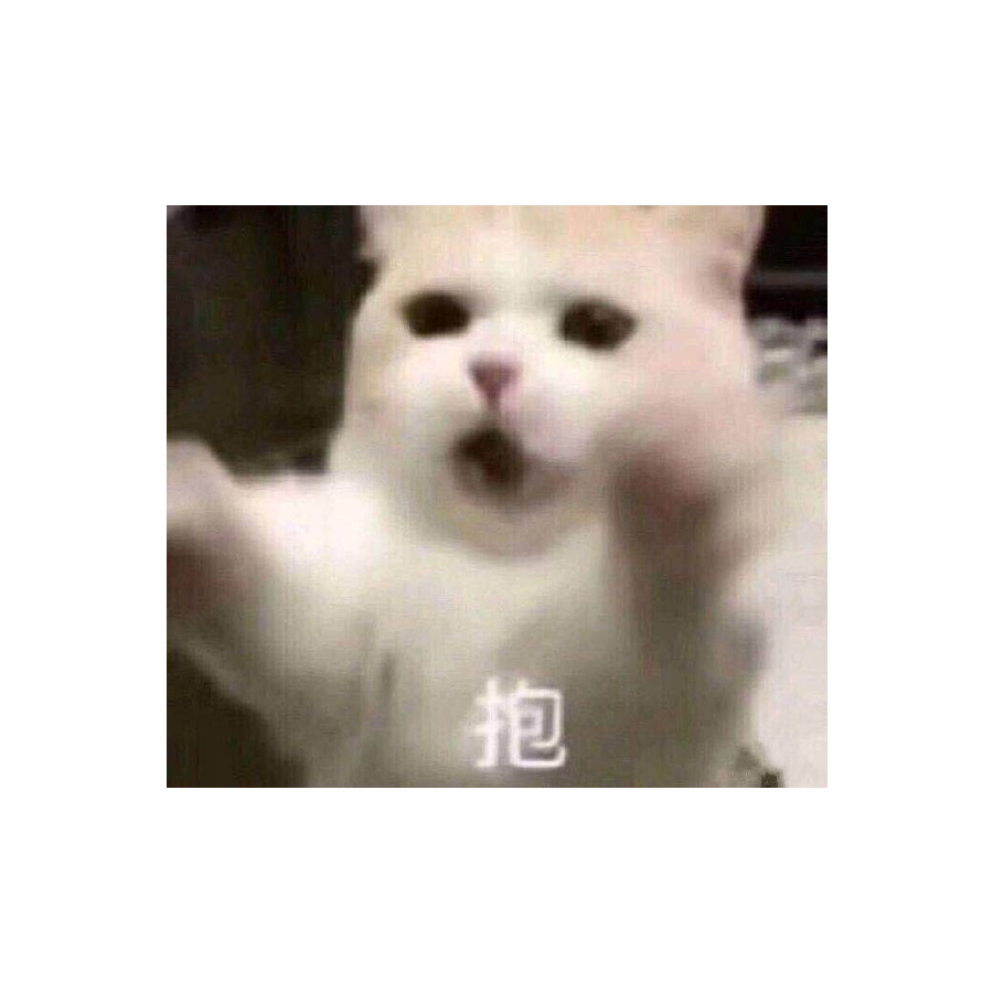 鸻鹬