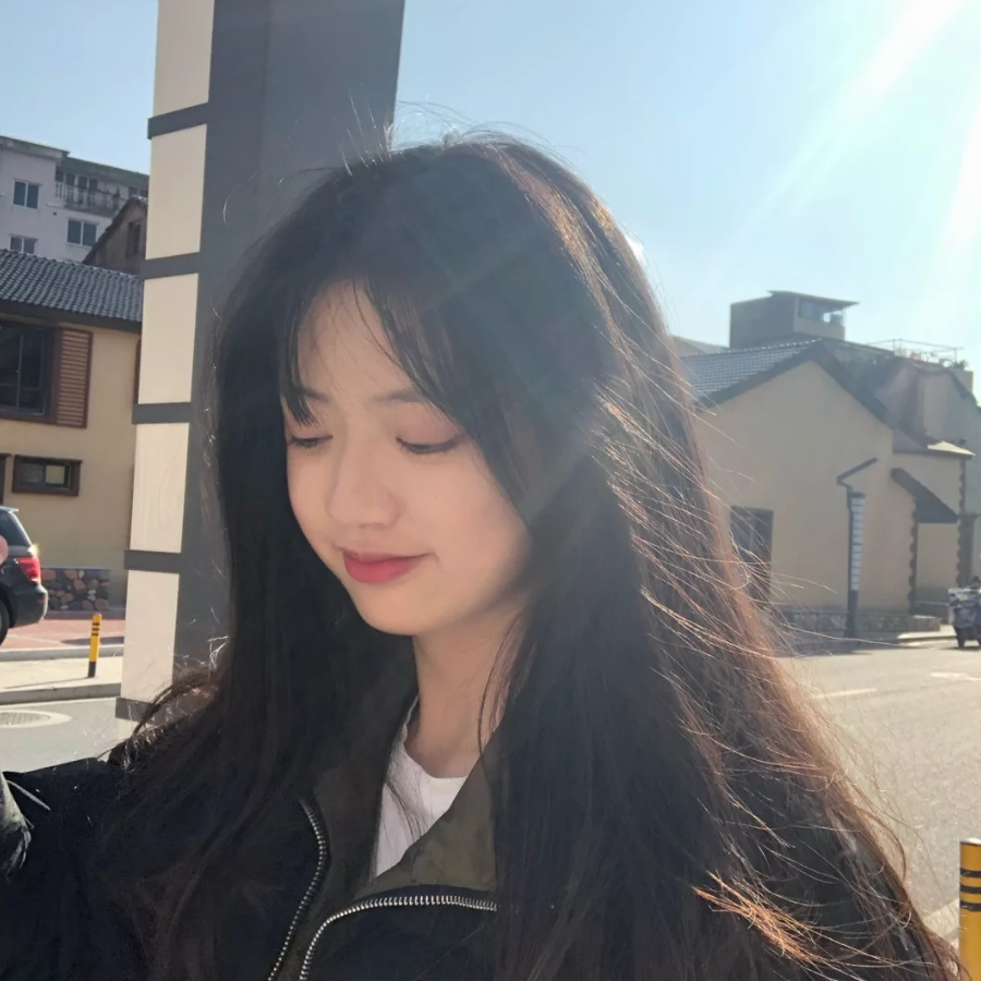 藏.