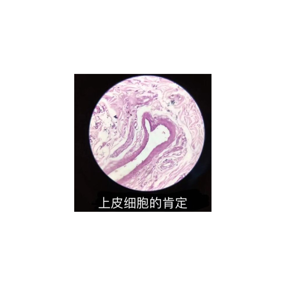 好想要摸鱼啊