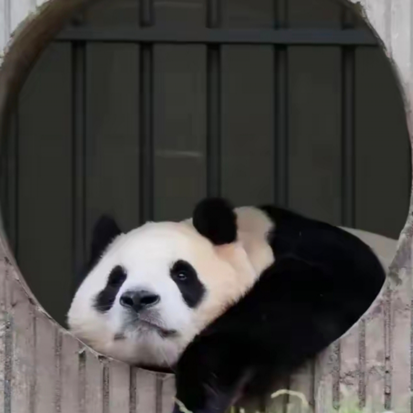 玄