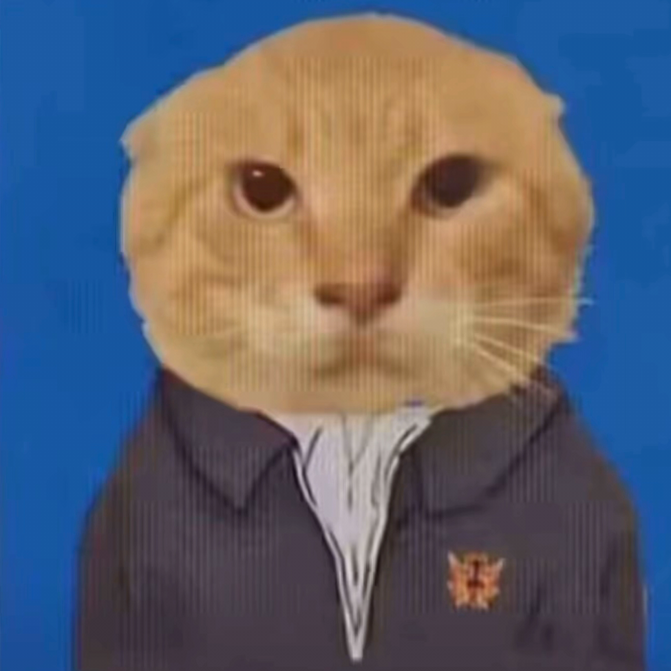 哈基咪