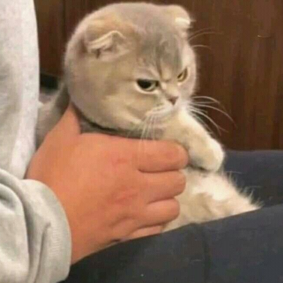 zzz
