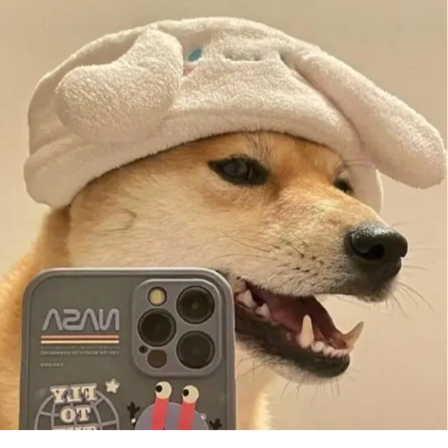 烦烦烦