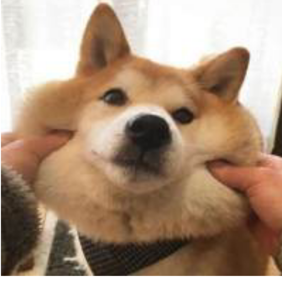 不爱念旧