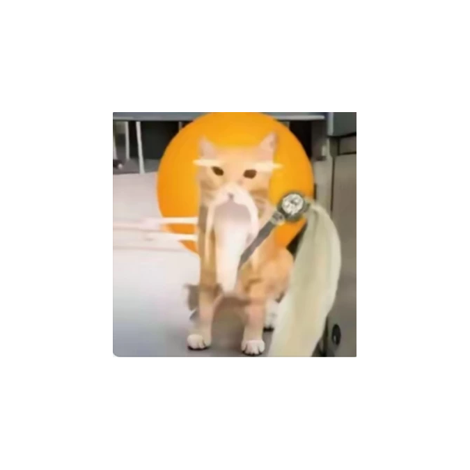 哈基仙