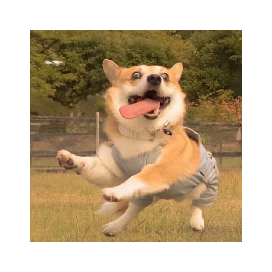 MR艾达