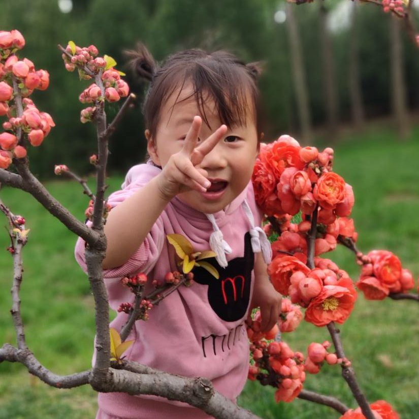 苏子恒