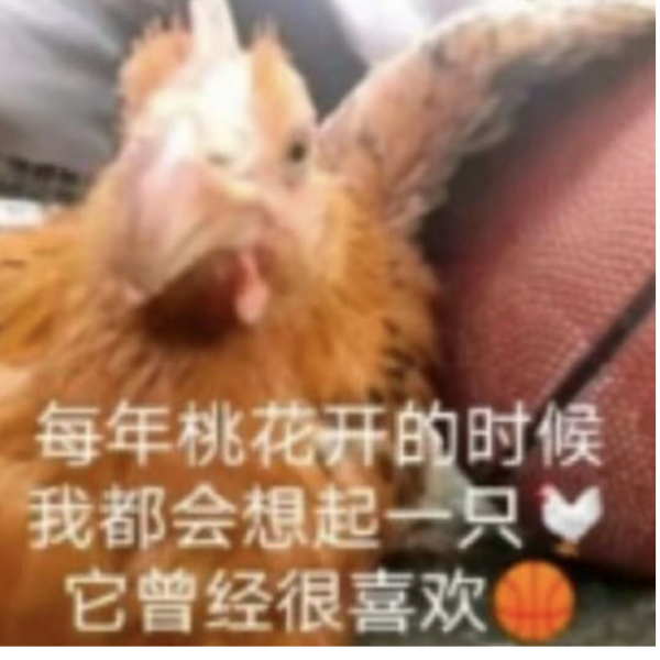..........