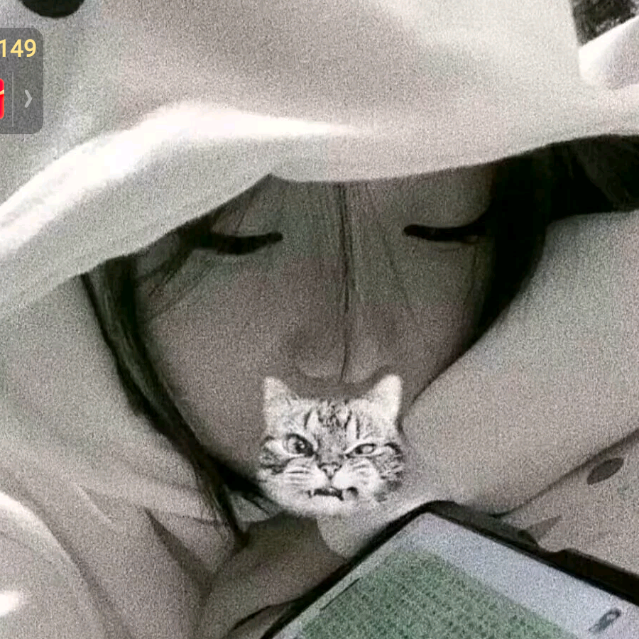 温念💤