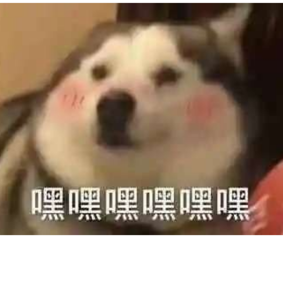 有一点点搬回家
