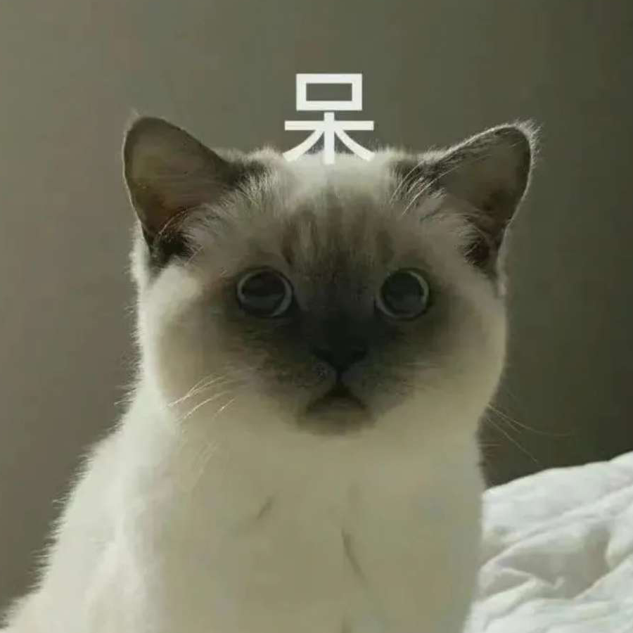 睿啊睿啊.