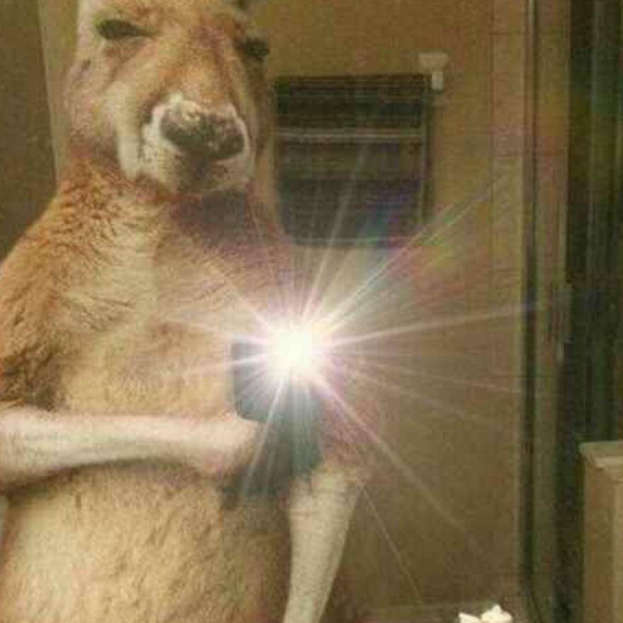 一个路过的假面骑士