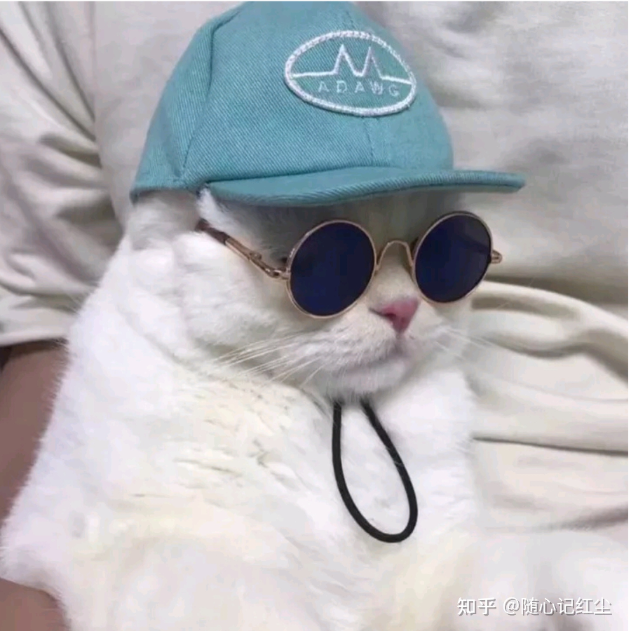 我叫等等