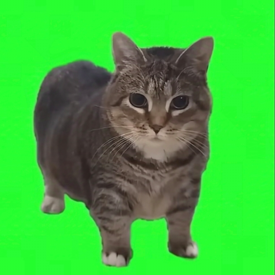 诸葛梨花