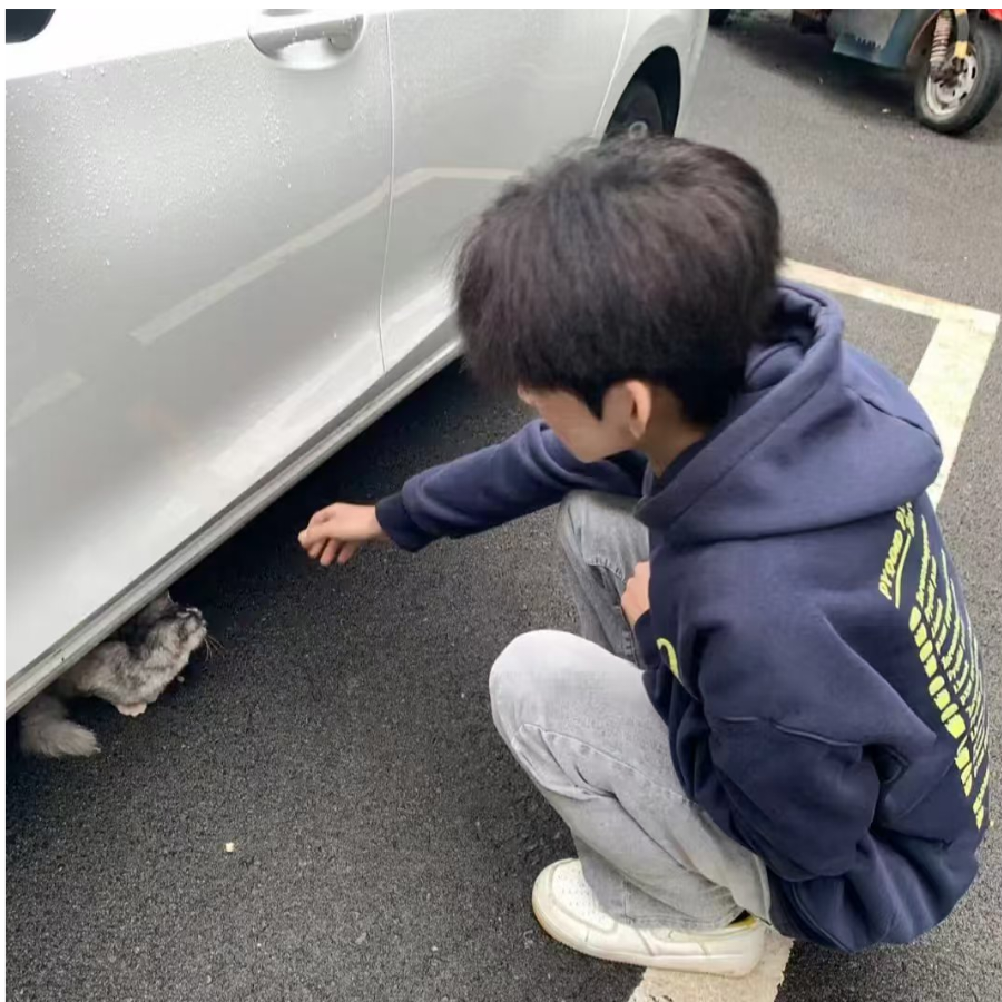 大帅比