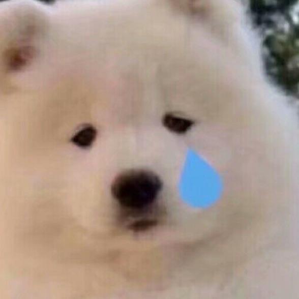 枫