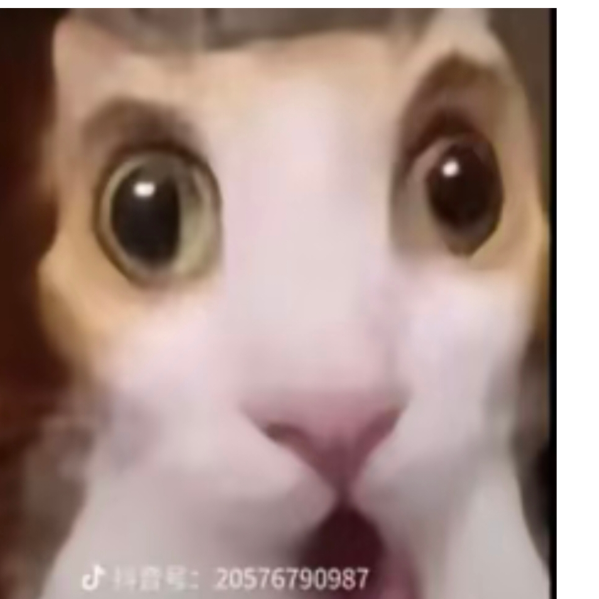 老Q