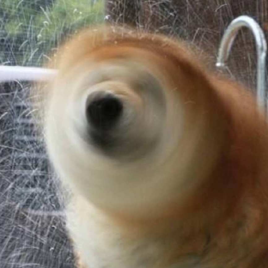 胤祁一世