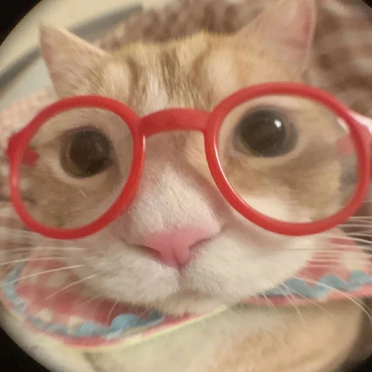 恸
