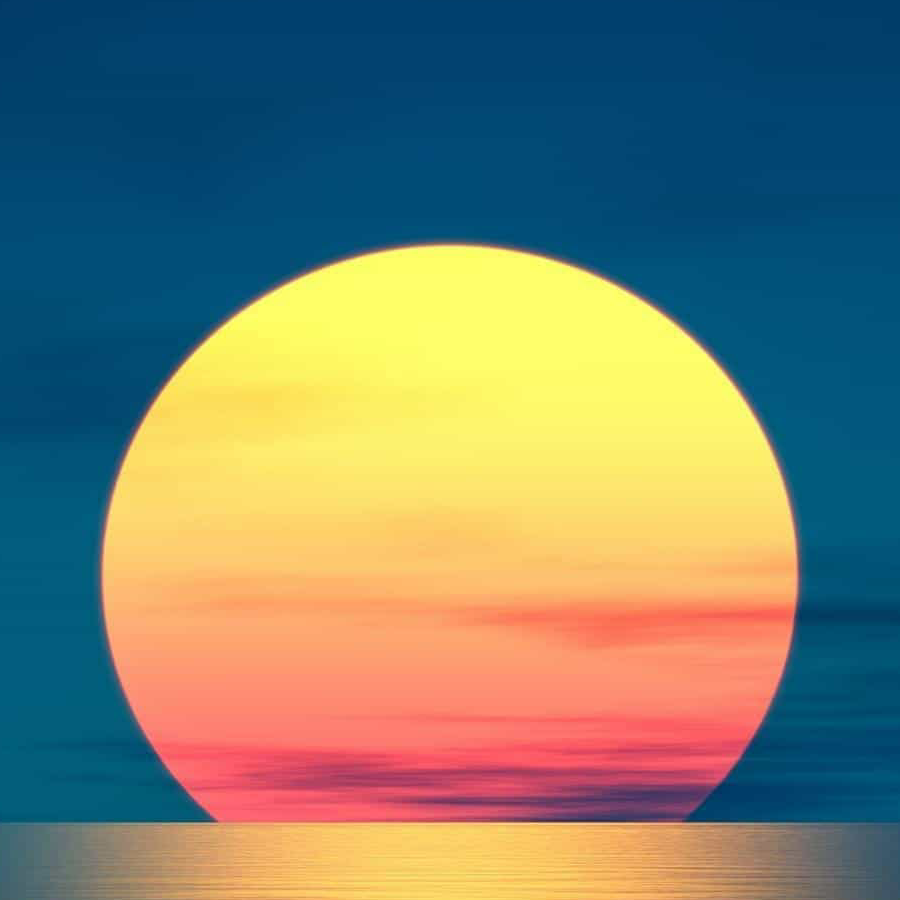 大舅子