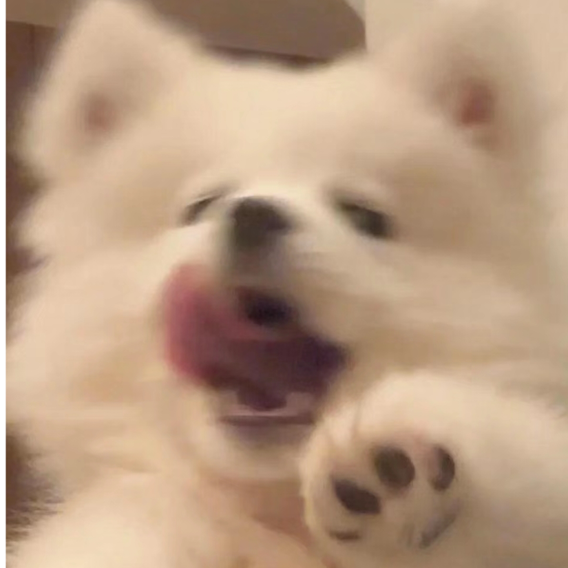 阿枝