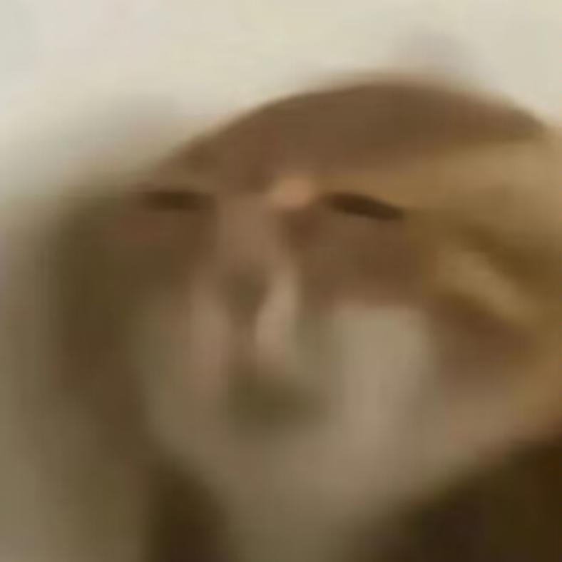 哒本哒