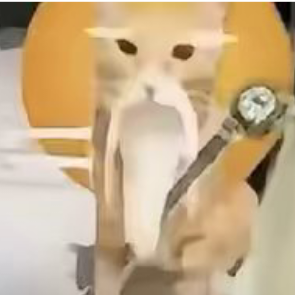 忽忘我
