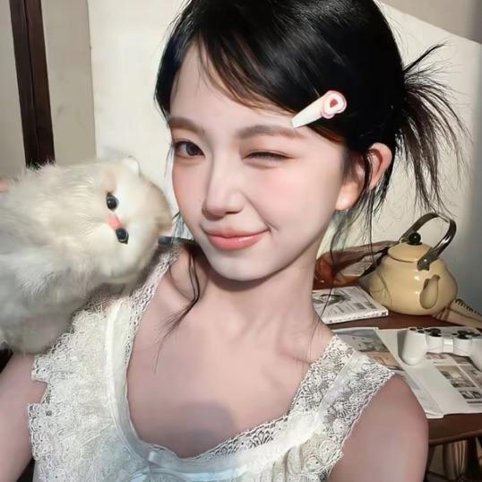 楠桉