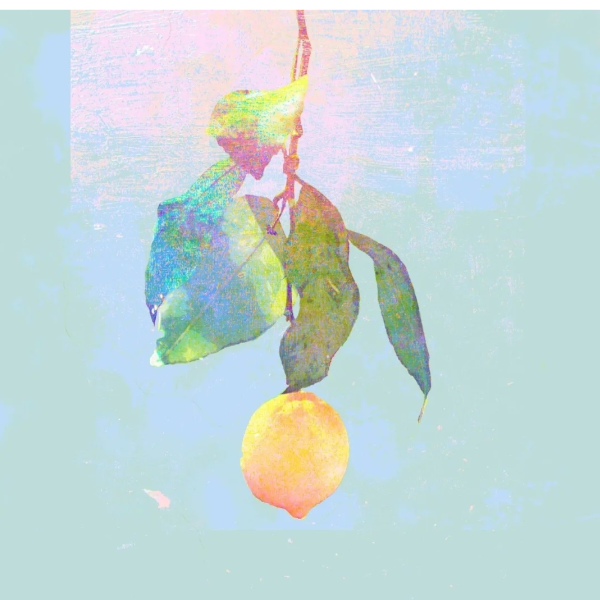 柠檬
