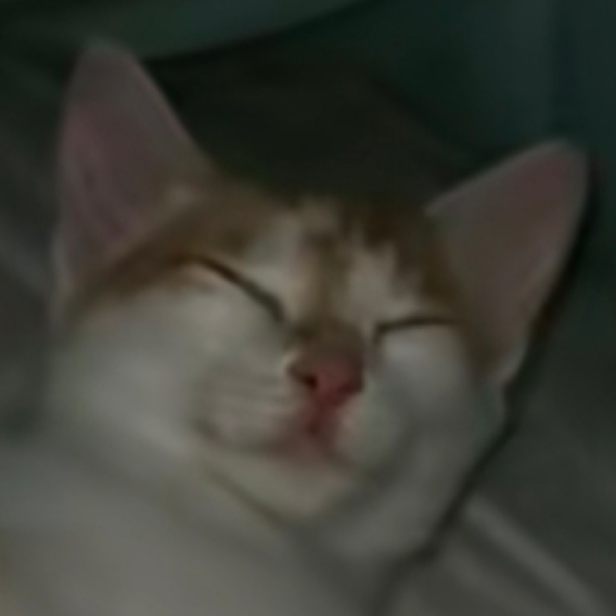 亦