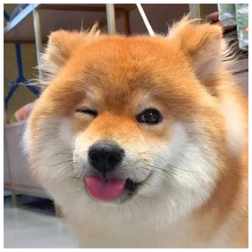 卡卡鲁特开心