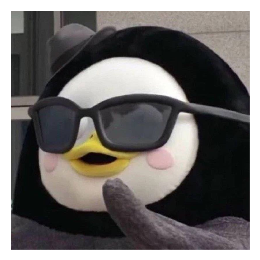 张张💚