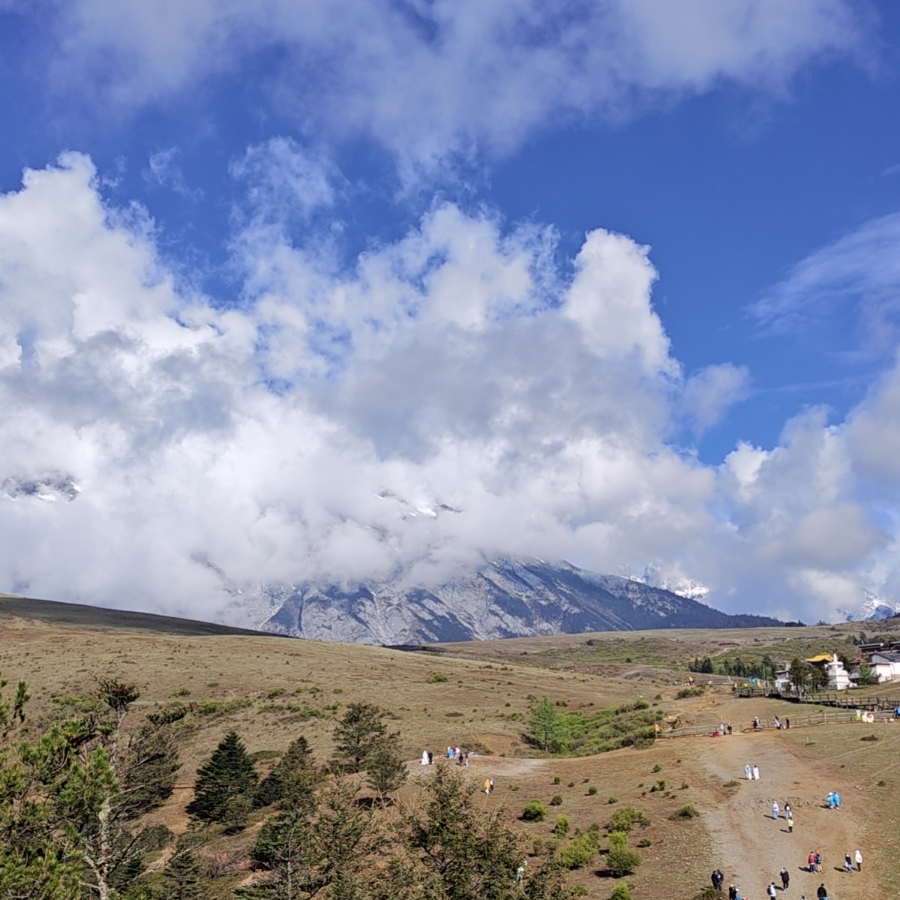 等会我v鸡蛋糕v